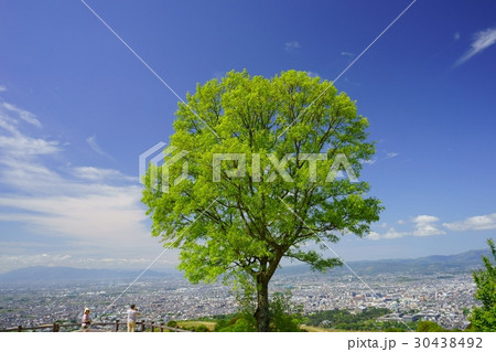 奈良・五月の若草山山頂４ 30438492
