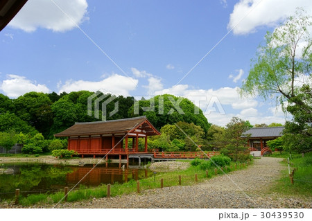 奈良・春の東院庭園４ 30439530
