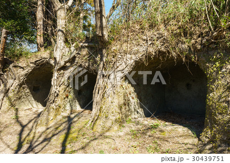 国指定史跡　柏谷横穴群 30439751