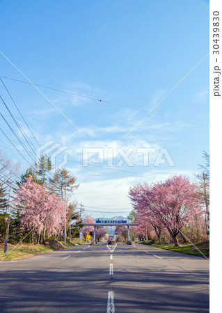 北軽井沢 日本ロマンチック街道 鬼押しハイウエー 北軽井沢 日本ロマンチック街道 鬼押しハイウエー 30439830