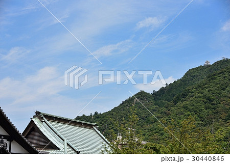 金華山 30440846