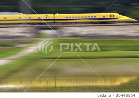 ドクターイエロー　田んぼ　水鏡 30443954