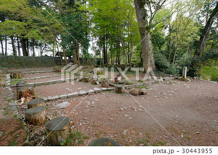 安土城 二ノ丸跡【日本100名城・特別史跡】 安土城 二ノ丸跡【日本100名城・特別史跡】 30443955