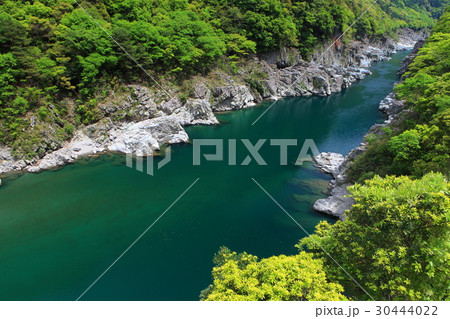新緑の小歩危峡 新緑の小歩危峡 30444022