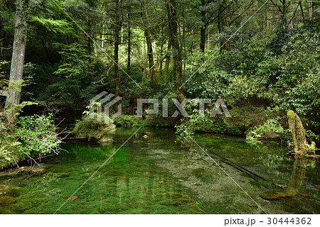 熊本県 池山水源 30444362