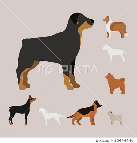 Funny cartoon dog character bread in cartoon style Funny cartoon dog character bread in cartoon style 30444446