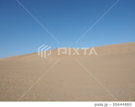 鳥取砂丘 30444860