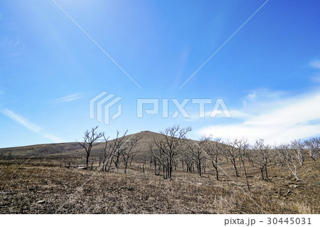 一目山　野焼き 30445031