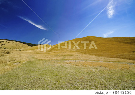 飯田高原　大崩ノ辻 30445156