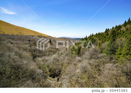 飯田高原　泉水山 30445365