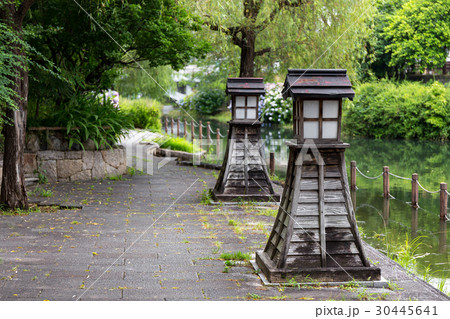 伏見の紫陽花 30445641