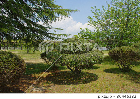 三永水源地(広島県東広島市西条町) 三永水源地(広島県東広島市西条町) 30446332