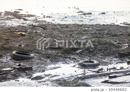 Dirty muddy beach showing a dump site Dirty muddy beach showing a dump site 30446602