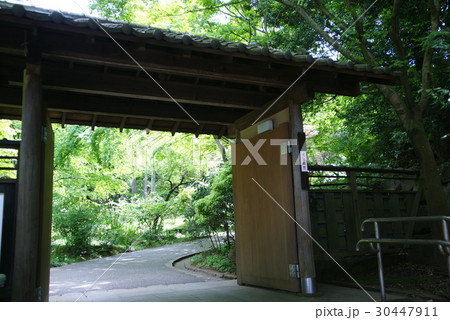 横浜 久良岐能舞台 横浜 久良岐能舞台 30447911