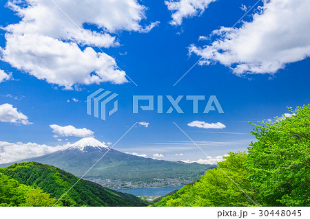 新緑の山と富士山 30448045