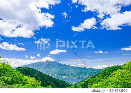 新緑の山と富士山 30448046