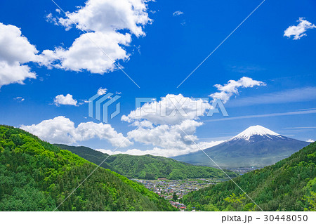 新緑の山と富士山 30448050