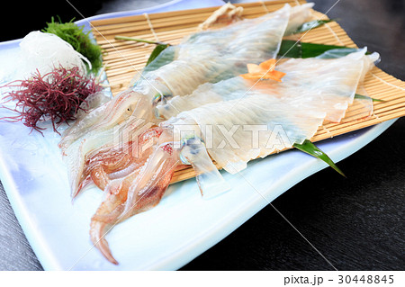 特産品 佐賀県呼子町 イカの活き作り 特産品 佐賀県呼子町 イカの活き作り 30448845