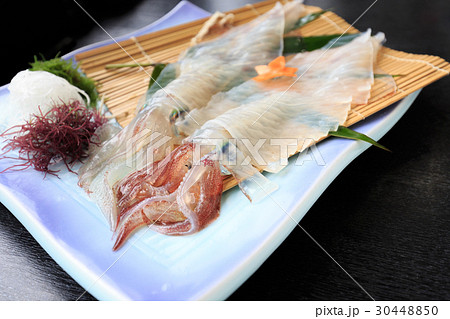 特産品 佐賀県呼子町 イカの活き作り 特産品 佐賀県呼子町 イカの活き作り 30448850