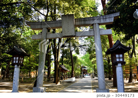布多天神社 布多天神社 30449173