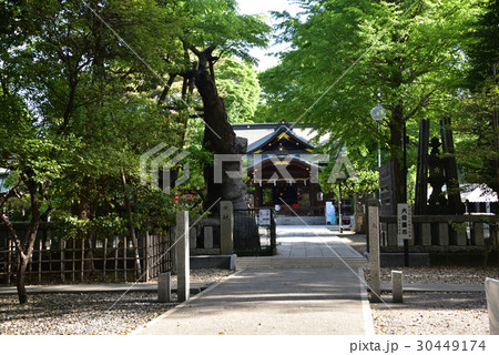 布多天神社 布多天神社 30449174