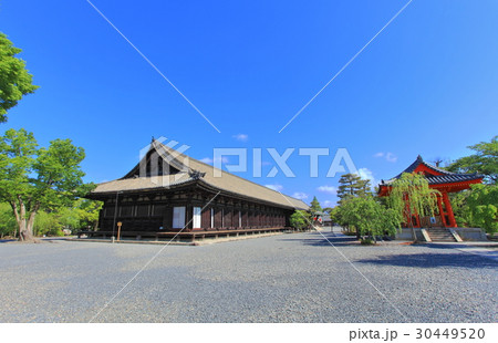 三十三間堂 本堂 三十三間堂 本堂 30449520