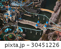 ロッテワールド 30451226