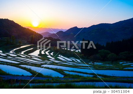 鴨川の大山千枚田の朝日 30451304