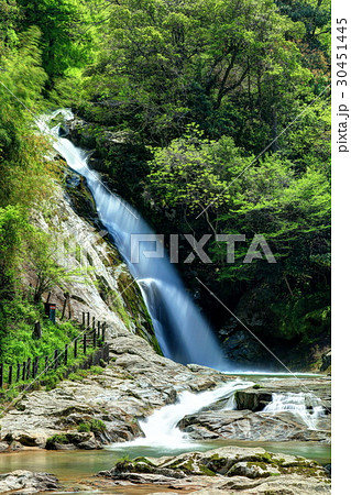 観音の滝 観音の滝 30451445