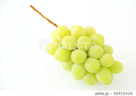 ブドウ　シャインマスカット 30452426