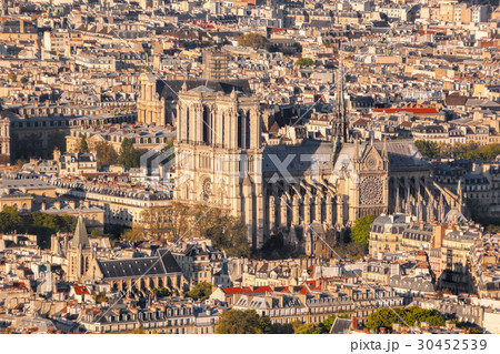 Paris with Notre Dame cathedral in France Paris with Notre Dame cathedral in France 30452539