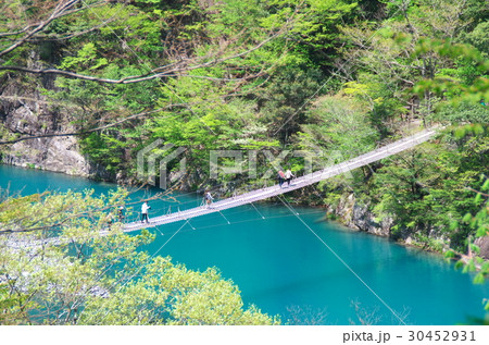 夢の吊り橋 30452931