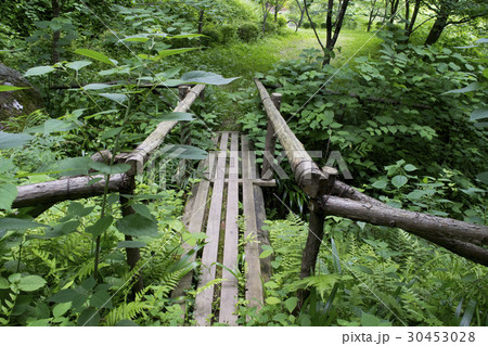 山中の橋正面 30453028