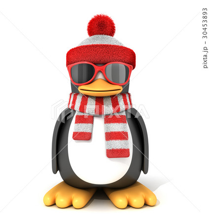 Penguin in a scarf and cap 30453893