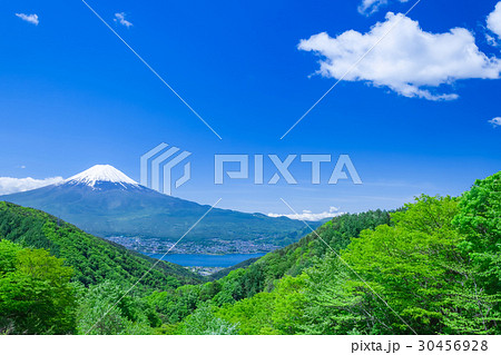 新緑の山と富士山 30456928