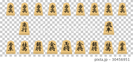 Shogi 30456951