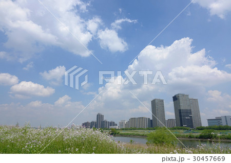 春の空_668 30457669