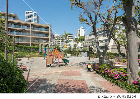 狸穴公園 30458254