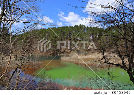 深泥沼 30458946