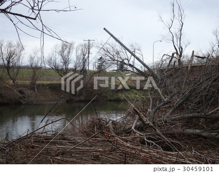 電柱倒壊イメージ 30459101