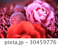 バラ 30459776