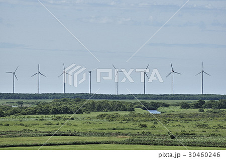 幌延ビジターセンター展望台からのオントルイ風力発電所 30460246