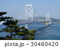 渦潮と大鳴門橋1 30460420