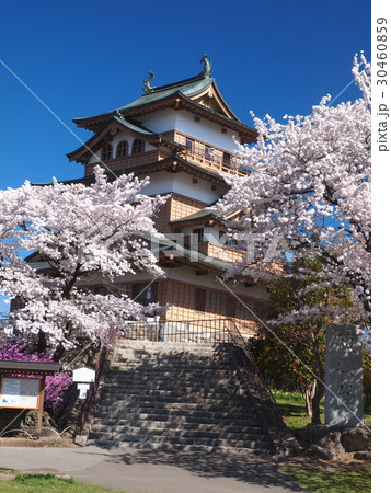 高島城と桜 長野県諏訪市 高島城と桜 長野県諏訪市 30460859