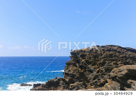 ハロナ ブロウホール 30464929