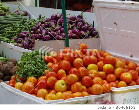市場に並ぶ野菜（シンガポール） 30466155