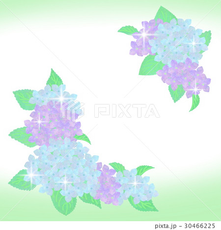 あじさいの花のイラストのイラスト素材 あじさいの花のイラストのイラスト素材