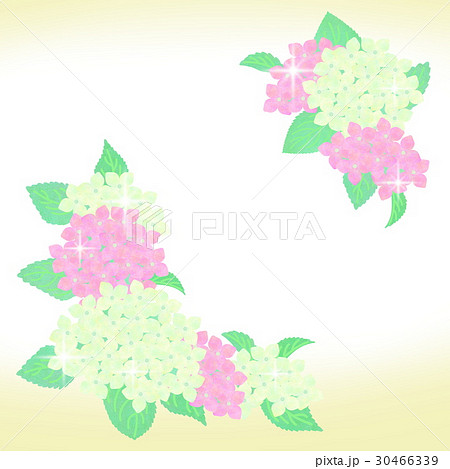 あじさいの花のイラスト 30466339