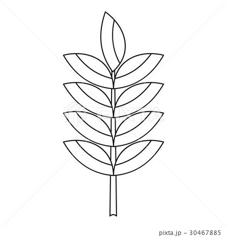 Rye spica icon, outline style 30467885