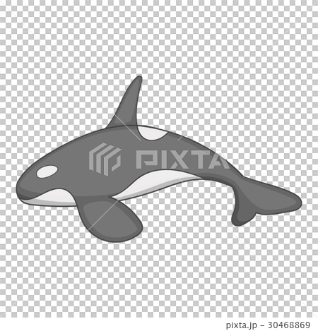 Killer whale icon, cartoon style Killer whale icon, cartoon style 30468869
